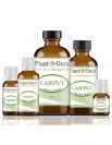 Cajeput Essential Oil