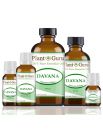 Davana Essential Oil