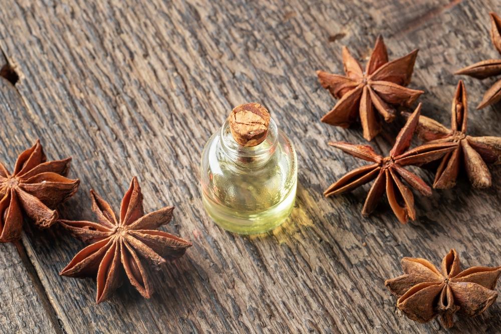 Discover The Amazing Benefits Of Anise Essential Oil