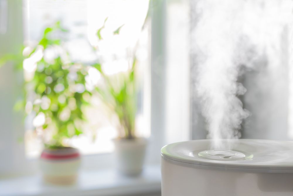 Essential Oils You Can Use For Your Humidifier - Plant Guru