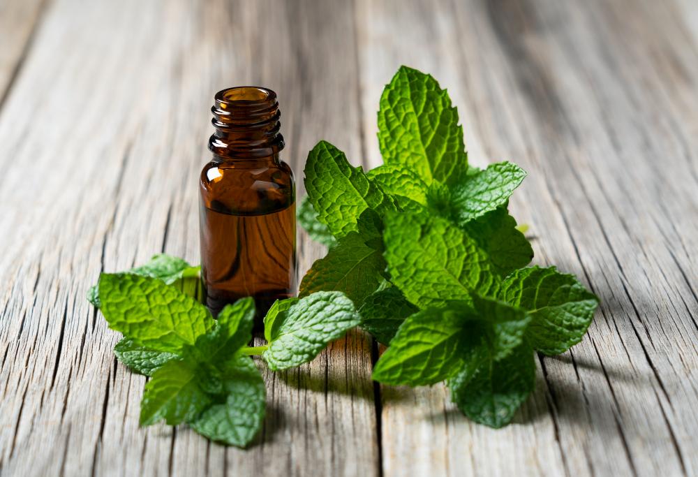 Spearmint Oil Vs. Peppermint Oil: What’s The Difference?